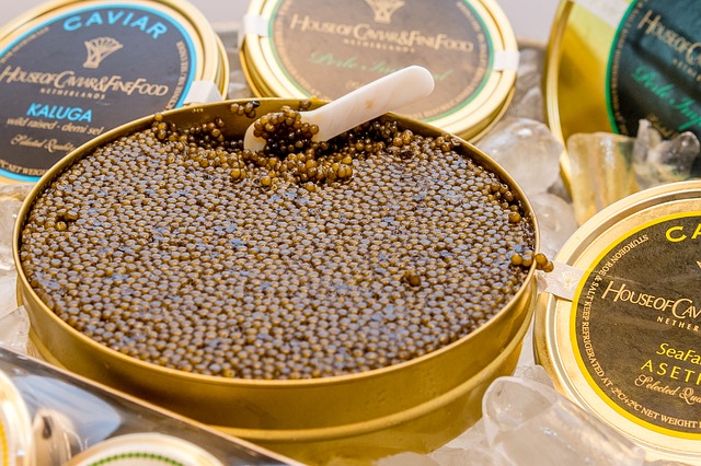 Convertir Solenoide Enfatizar El precio del caviar | IPC